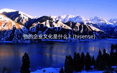 他的企业文化是什么？(hisense)