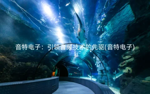 音特电子：引领音频技术的先驱(音特电子)