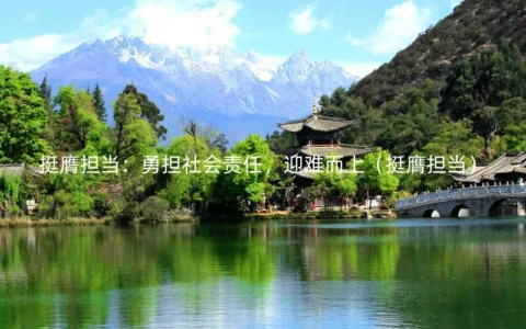挺膺担当：勇担社会责任，迎难而上（挺膺担当）