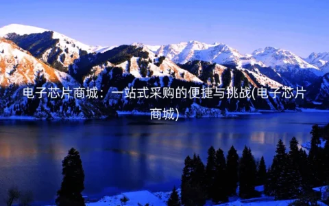 电子芯片商城：一站式采购的便捷与挑战(电子芯片商城)