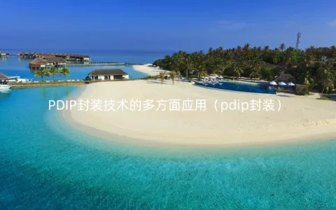 PDIP封装技术的多方面应用（pdip封装）