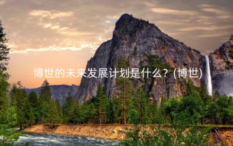 博世的未来发展计划是什么？(博世)