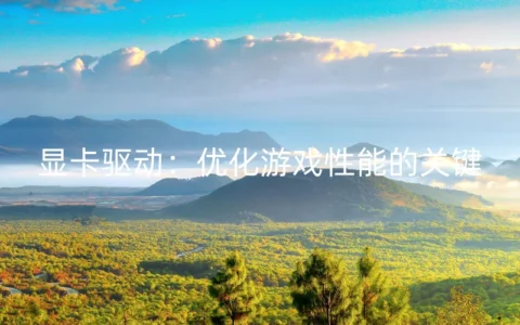 显卡驱动：优化游戏性能的关键