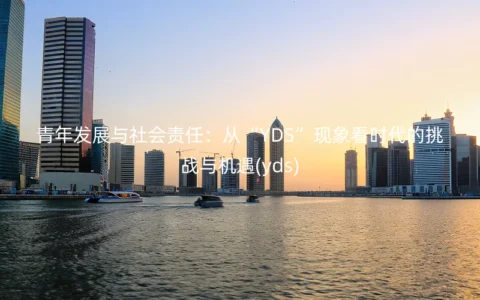 青年发展与社会责任：从“YDS”现象看时代的挑战与机遇(yds)