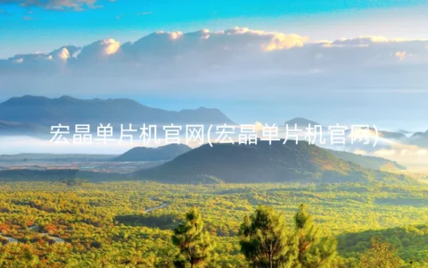 宏晶单片机官网(宏晶单片机官网)