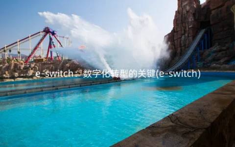 e-switch：数字化转型的关键(e-switch)