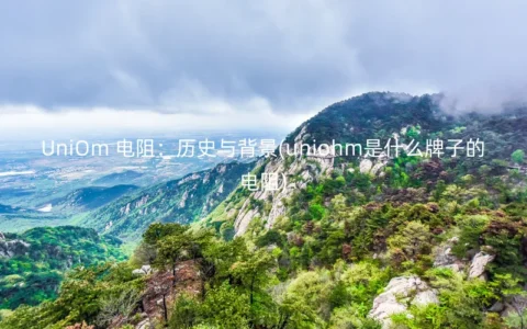 UniOm 电阻：历史与背景(uniohm是什么牌子的电阻)