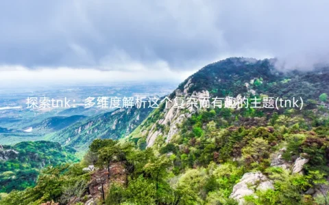 探索tnk：多维度解析这个复杂而有趣的主题(tnk)
