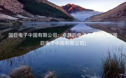 国巨电子中国有限公司：卓越的电子元件供应商(国巨电子中国有限公司)