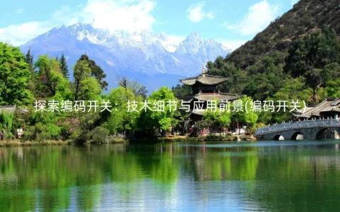 编码开关的技术细节与应用前景