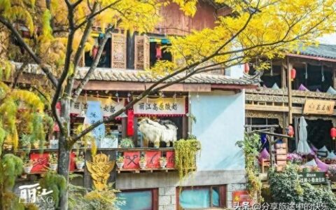 云南西双版纳旅游团报名6日游价格，西双版纳六日游旅行团报价