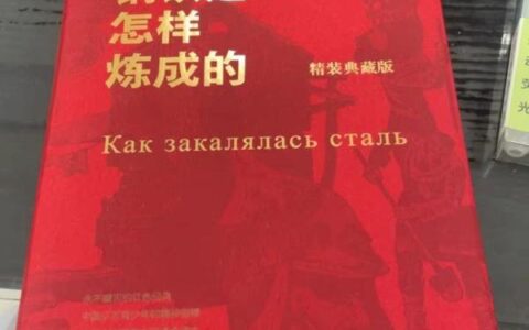 《钢铁是怎样炼成的》-钢铁是怎样炼成的经典语句