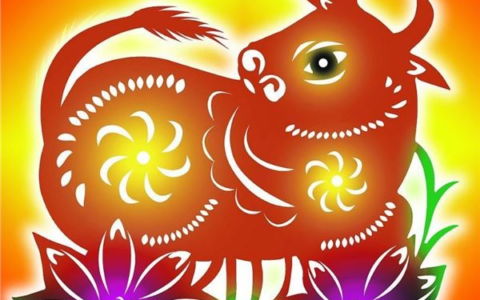 生肖牛：历史、文化与现代解读