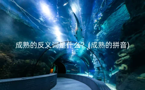 成熟的反义词是什么？(成熟的拼音)