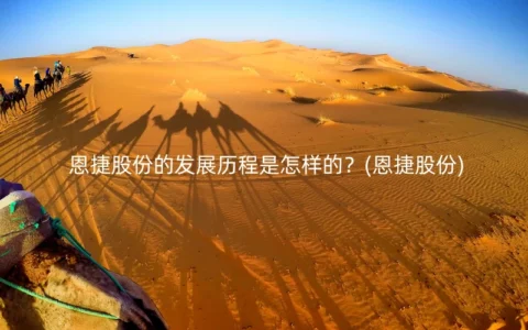 恩捷股份的发展历程是怎样的？(恩捷股份)