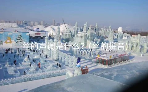 丝的声调是什么？(丝的拼音)