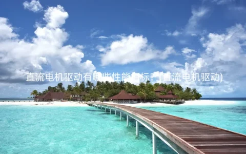 直流电机驱动有哪些性能指标？(直流电机驱动)