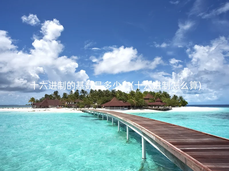  十六进制的基数是多少？(十六进制怎么算)