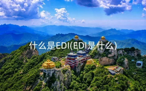 什么是EDI(EDI是什么)