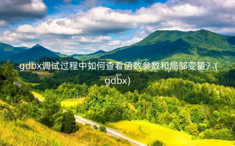 gdbx调试过程中如何查看函数参数和局部变量？(gdbx)