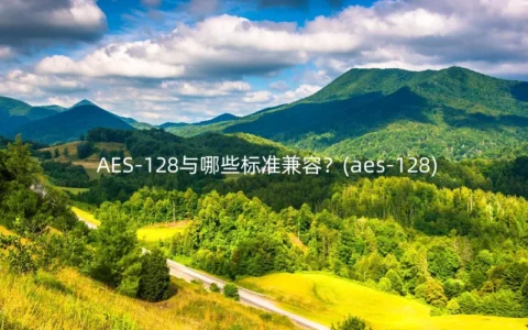 AES-128与哪些标准兼容？(aes-128)