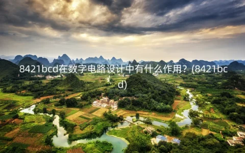 8421bcd在数字电路设计中有什么作用？(8421bcd)
