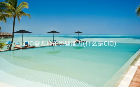 CIO需要具备哪些能力(什么是CIO)