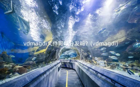 vdmagdi文件可以分发吗？(vdmagdi)
