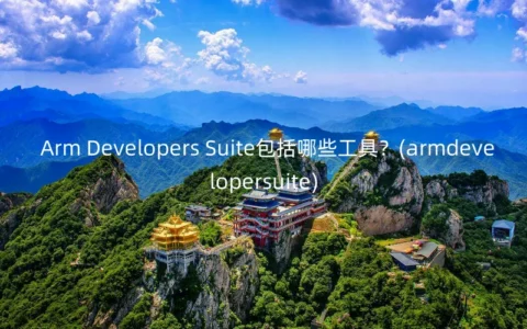 Arm Developers Suite包括哪些工具？(armdevelopersuite)