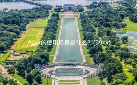 99xx的使用场景是什么？(99xx)