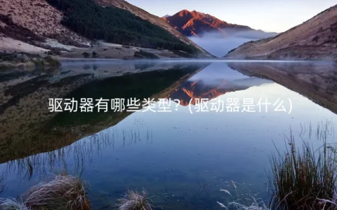 驱动器有哪些类型？(驱动器是什么)