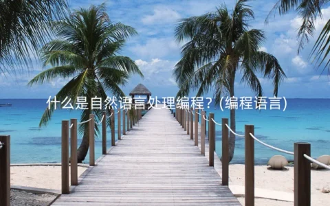 什么是自然语言处理编程？(编程语言)