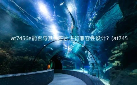 at7456e能否与其他芯片进行兼容性设计？(at7456e)