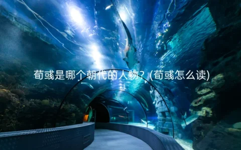 荀彧是哪个朝代的人物？(荀彧怎么读)