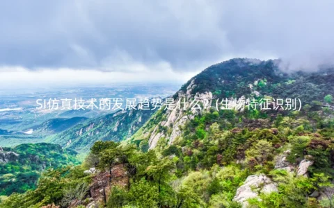 SI仿真技术的发展趋势是什么？(生物特征识别)