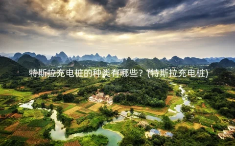 特斯拉充电桩的种类有哪些？(特斯拉充电桩)