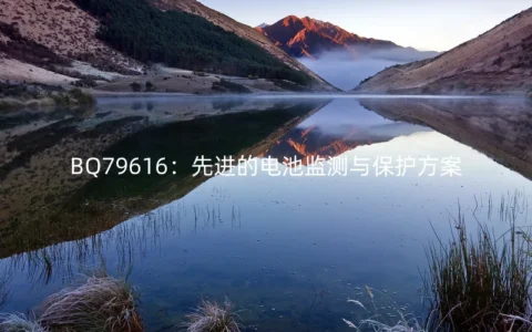 BQ79616：先进的电池监测与保护方案