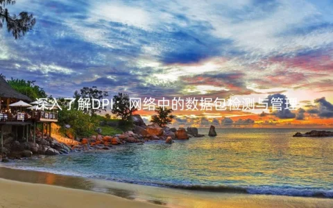 深入了解DPI：网络中的数据包检测与管理
