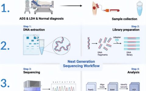 高通量测序|高分实例分析，入手国自然课题设计思路-高通量测序操作流程