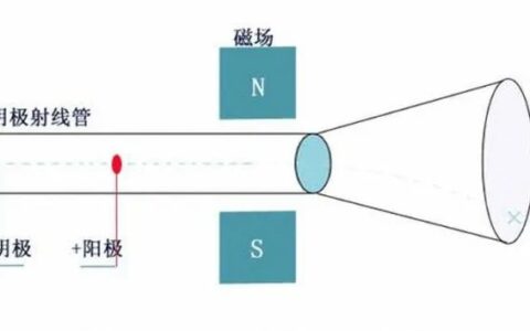 一个很坚持，一个很大胆，师生一起“切分”原子-坚持是一个人的什么作文