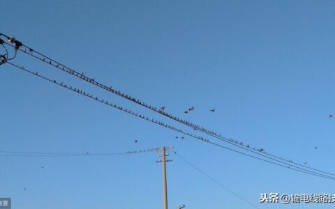 配电线路平行集束电缆施工工艺