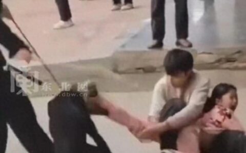 闹大了！恶犬当街撕咬女孩，路人帮忙，主人跪地道歉，评论区炸锅