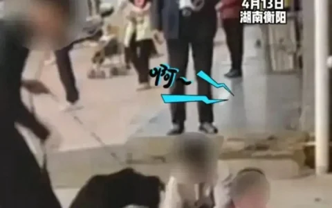 痛心！恶犬突然发疯，当街撕咬小女孩，狗主人下跪道歉！