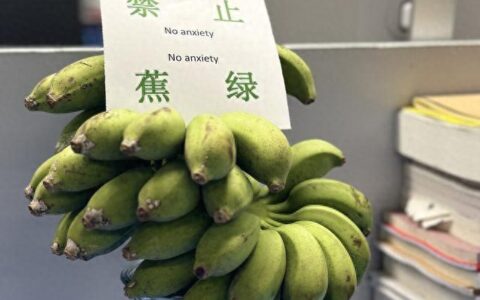 有水果因谐音卖不出去，也有蔬果因谐音成为“电子布洛芬”