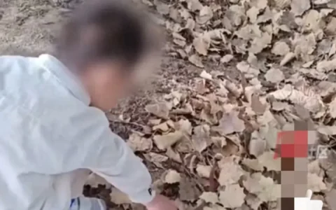 真初生牛犊！两岁萌娃树林里徒手抓蛇 叔叔：孩子没事让他扔就跑了