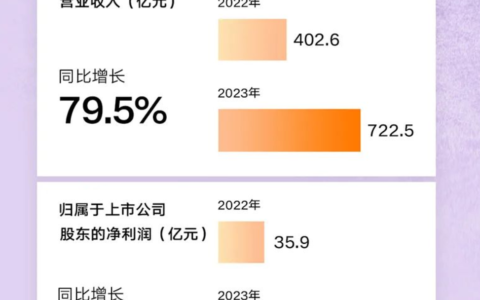 阳光电源财报：2023每日进账两亿元，2024储能出货目标翻倍