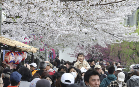樱花盛开，日本三月游客人数刷新纪录，背后的深层原因你知道吗？