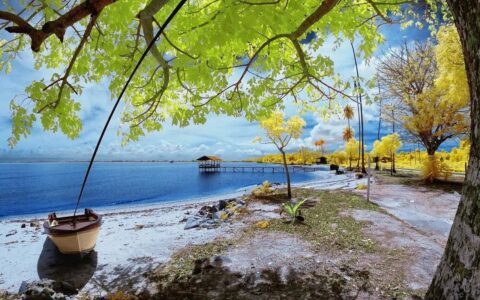 原创
            什么是情网？什么是天网？什么是情思？什么是感性和理性？