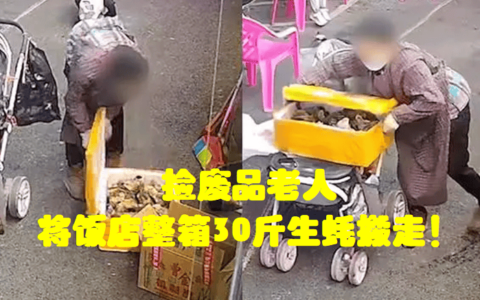 广西老人误将30斤生蚝当废品搬走，店主表示无语又生气！