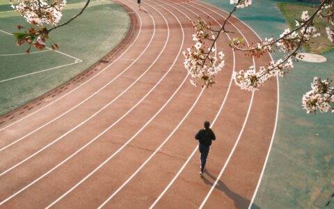 穿越书海的航行者